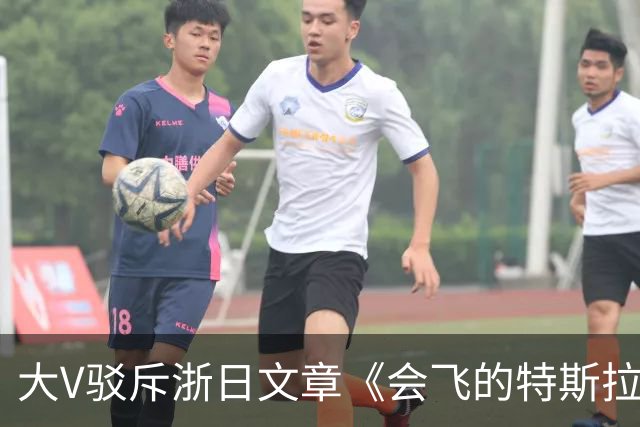大V驳斥浙日文章《会飞的特斯拉敲打中国企业》浮夸装腔作势！网友：好好一个车，你翻滚它干什么玩意？
